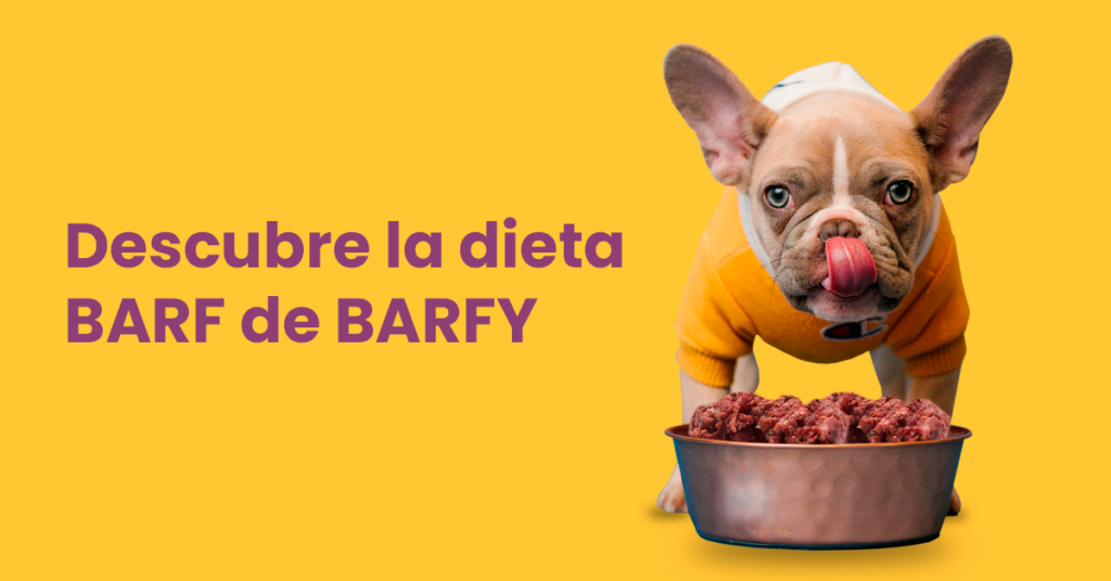 barfy.es